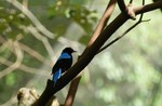DSC_7326e