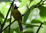 DSC_7395e