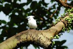 DSC_7437e