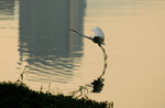 DSC_9552e