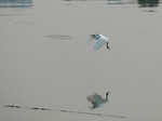 DSC_9645e