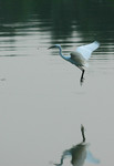 DSC_9681e