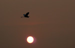 DSC_9701e
