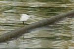 DSC_6770e