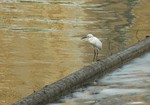 DSC_6776e