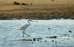 DSC_9305e