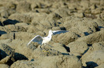 DSC_9309e