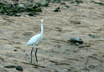 DSC_9366e