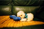 1526_Natura Black_Xtra 400