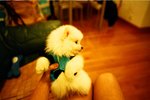 1528_Natura Black_Xtra 400