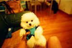 1529_Natura Black_Xtra 400