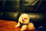1536_Natura Black_Xtra 400