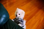 2229_Leica MP_Noctilux_Ultra 100