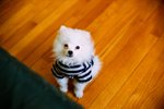 2231_Leica MP_Noctilux_Ultra 100