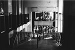 1520_Leica MP_Summicron 50_Tri-X 400@1600