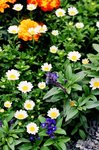 02_Contax G2_G90 F2.8_Velvia 100F