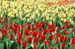 15_Contax G2_G90 F2.8_Velvia 100F