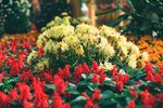 
2306_Leica MP_Noctilux_Ultra 100