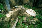 20_Leica M7_24 F2.8 ASPH_RVP 50