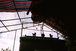 0216_Ricoh GR1V_Ultra 100