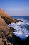 36790037