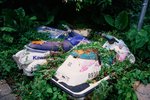 0435_Ricoh  GR1V_RVP 50