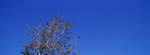 4707_Xpan II_45 F4_RVP 50
