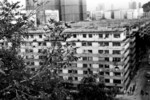 26900025e