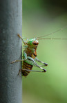 DSC_8526e