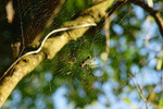 DSC_8595e