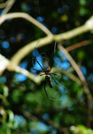 DSC_8610e