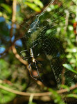 DSC_8612e
