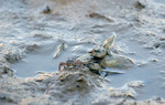 DSC_9195e