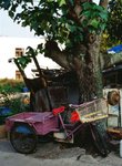 0703_Contax 645_Planar 80 F2_E100 VS
