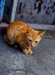 0709_Contax 645_Planar 80 F2_E100 VS