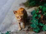 0710_Contax 645_Planar 80 F2_E100 VS