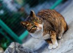 0711_Contax 645_Planar 80 F2_E100 VS