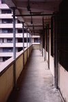 1305_Leica MP_Summicron 50_RDP III