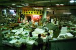 0922_Ricoh GR1S_Xtra 400