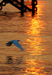 DSC_9482e
