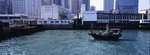 4607_Xpan II_45 F4_RDP III