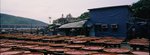 4212_Xpan II_45 F4_RVP 50