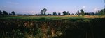 4907_Xpan II_45 F4_RVP 50