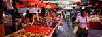4521_Xpan II_45 F4_RDP III