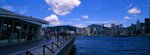 5702_Xpan II_45 F4_RVP 50
