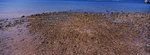 04_Velvia 100F_Xpan II