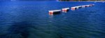 18_Velvia 100F_Xpan II