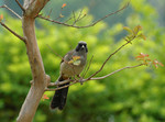 DSC_3174e
