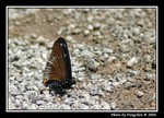 DSC_1405e