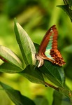 DSC_1481e